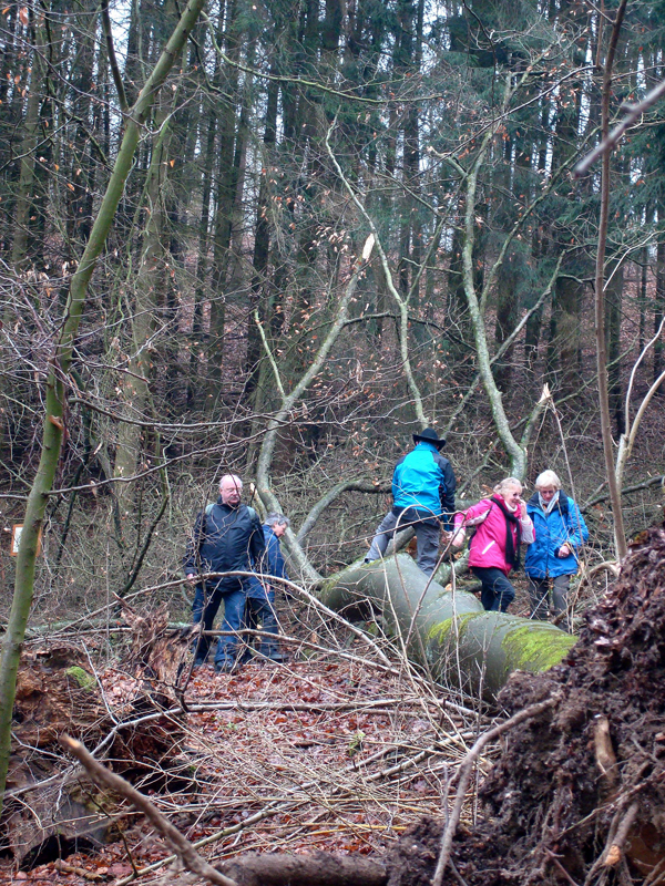 Wandern%20nach%20Balduinstein%2017.2.13%20002_2304x3072